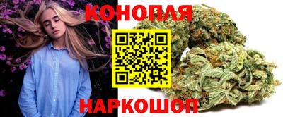 Альфа ПВП Моздок