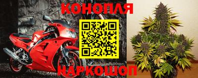 МДПВ Можга