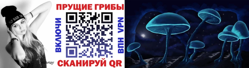 Галлюциногенные грибы прущие грибы  купить наркоту  Юрга 